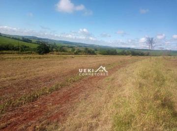 Imagem 1 · Sítio para venda em Paiquerê, Londrina