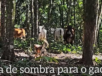 Imagem 1 · Sítio para venda em Centro, Paranaguá