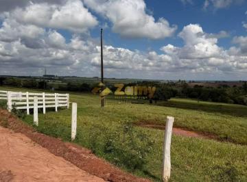 Imagem 1 · Sítio para venda em Nova Esperança
