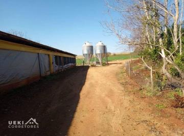 Imagem 1 · Sítio para venda em Paiquerê, Londrina