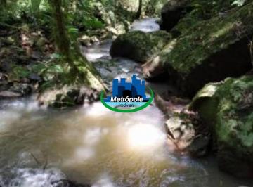 Photo 1 · Sítio com 2 dormitórios à venda, 30000 m² por R$ 585.000,00 - Cuiabá - Nazaré Pa