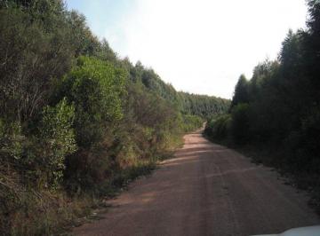 Rural de 10 quartos, Porto Alegre · FAZENDA 2.300 HECTARES
CAMPEÃ PRODUÇÃO Valor abaixo do mercado !