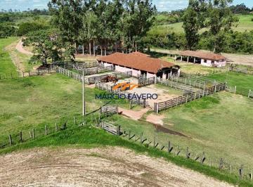 Imagem 1 · Fazenda para venda em Ribeirão Preto