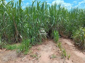 Imagem 1 · Fazenda para venda em São Benedito, Uberaba