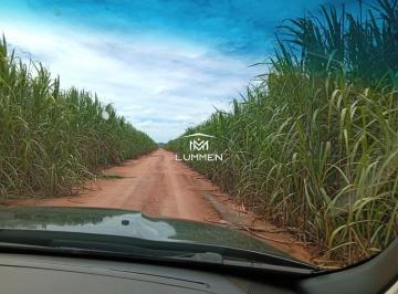 Imagem 1 · Fazenda para venda em São Benedito, Uberaba