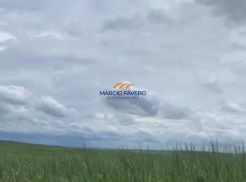 Imagem 1 · Fazenda para venda em Dois Córregos