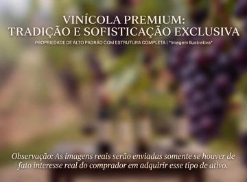 Rural , Campo Largo · VINÍCOLA PREMIUM | PROPRIEDADE COMPLETA COM ESTRUTURA COMERCIAL E DE EVENTOS