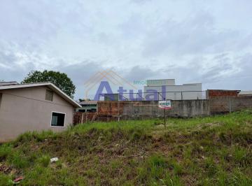 Foto 01 · Terreno - Haller