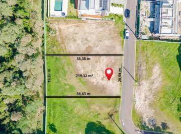 Terreno · 719320m² · Terreno - Campo Magro