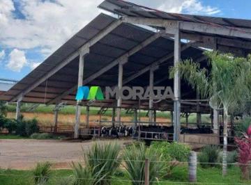 9635_i6zB14R415_96356983987a3e8ce.jpg · Imoveis - na Zona Rural