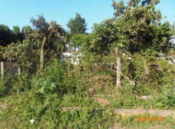 Rural · 1500m² · Rurais à venda - no Centro