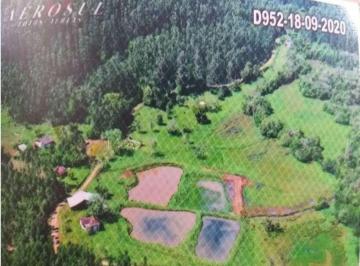 Rural · 76680m² · Rurais à venda - no Centro