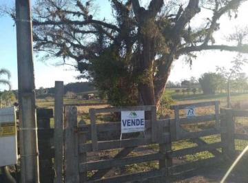 Rural · 47000m² · Rurais à venda - na Costa da Serra