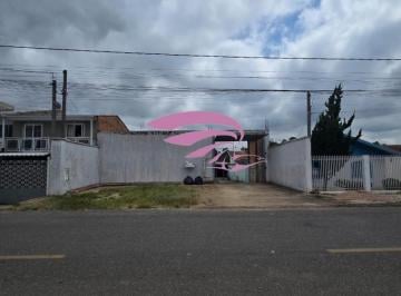 Foto 01 · Galpão - Iguaçu