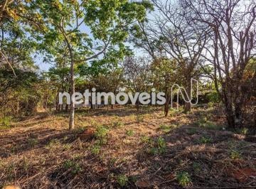 b35aafde-9854-4984-8d01-633d6e759125.webp · Terreno à Venda, Lago Norte, Brasília