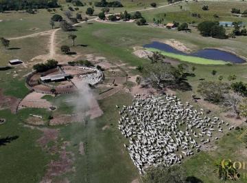 b3e135c360ab5c2d8d32a66f99607e75fbe449ed · MEGA FAZENDA À VENDA — MATO GROSSO