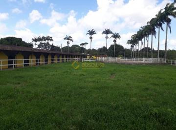 e13d3974fbe0d169e98d1384a97ca52875c47597 · Haras com 12 hectares por R$ 5.000.000 - Centro - São Lourenço da Mata/PE