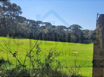 Terreno · 420000m² · Terreno à venda no bairro Campo Largo da Roseira - São José dos Pinhais/PR