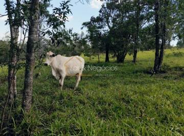 Rural · 3m² · SÍTIO À VENDA – SUMARÉ