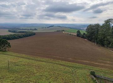 1-min1747146971948_fhd.webp · Fazenda à venda, Colônia do Lago, Palmeira, PR