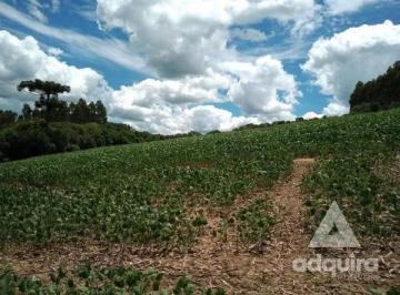 chacara-a-venda-17545m-centro-palmeira-pr1699967820126gbplz_fhd.webp · Chácara à venda 17545 m², Centro, Palmeira - PR