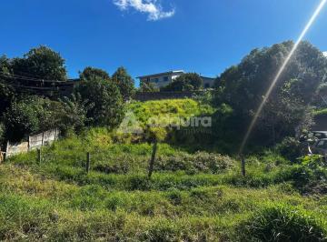 011750101032000_fhd.webp · Terreno à venda - Parque Auto Estrada - 525m² de área (15m x 35m) - Contorno