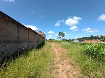 1000116987_fhd.webp · Terreno à venda, Estrela, Ponta Grossa, PR