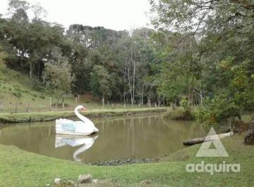 chacara-a-venda-15000m-uvaranas-ponta-grossa-pr1699968196843ktpit_fhd.webp · Chácara à venda 15000 m², Uvaranas, Ponta Grossa - PR