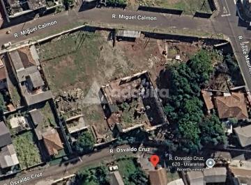 gemini-generated-image-tz499jtz499jtz49_fhd.webp · TERRENO EM UVARANAS - VILA RIO BRANCO