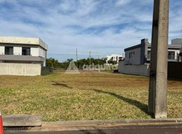 14e42927-bd52-4c98-b1c5-533a7405ba1d1752797584845_fhd.webp · Terreno à venda no Condomínio Alphaville, no Jardim Carvalho, Ponta Grossa