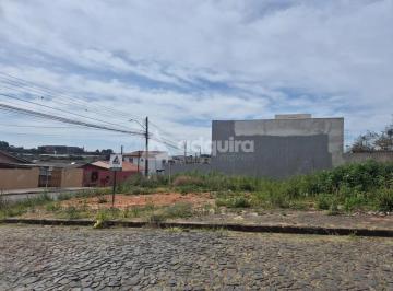 e311d4f4-5661-4f8d-ba99-a06853cce8081757010499707_fhd.webp · Terreno à venda, Nova Rússia, Ponta Grossa, PR