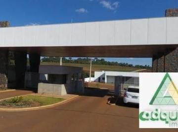 terreno-a-venda-302-4m-colonia-dona-luiza-ponta-grossa-pr1699967991586qiujp_fhd.webp · Terreno à venda 302.4 m², Colônia Dona Luíza