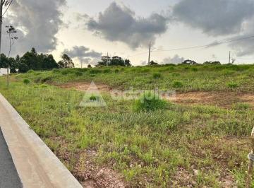 jardim-alpha-11742910147152_fhd.webp · Terreno à venda, Jardim Carvalho, Ponta Grossa, PR