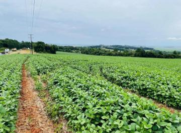 whatsapp-image-2024-12-20-at-10-16-231734701597140_fhd.webp · Fazenda de plantação à venda, rodovia, Ponta Grossa, PR