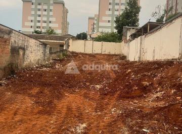 whatsapp-image-2026-08-14-at-16-01-46-1-_fhd.webp · Terreno à venda, Estrela, Ponta Grossa, PR