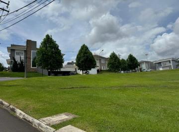 whatsapp-image-2024-11-29-at-15-03-58-11732910347956_fhd.webp · Terreno à venda, Estrela, Ponta Grossa, PR
