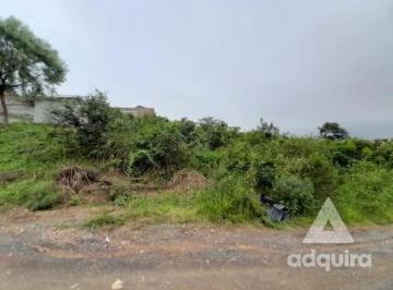 terreno-a-venda-490m-uvaranas-ponta-grossa-pr1699967947262exxrv_fhd.webp · Terreno à venda 490 m², Uvaranas, Ponta Grossa - PR
