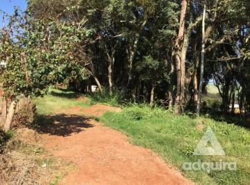 terreno-a-venda-1716m-centro-carambei-pr1699969943980qxvwc_fhd.webp · Terreno à venda 1716 m², Centro, Carambeí - PR