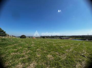 7699e039-10ec-4d68-ab46-da4f4d675e1c_fhd.webp · CHACARA NO CONDOMINIO CASA DE CAMPO 2 com 2.368,00m2 PONTA GROSSA PR