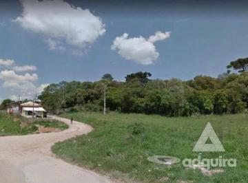 terreno-a-venda-6185m-vila-santa-cruz-castro-pr1699968153782zhfjj_fhd.webp · Terreno à venda 6185 m², Vila Santa Cruz, Castro - PR