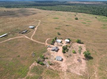 whatsapp-image-2026-05-20-at-14-06-161779307229584_fhd.webp · Fazenda à venda, Nova Maringá, MT
