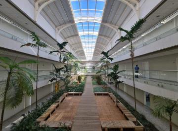 Comercial · 80m² · 2 Vagas · Sala Comercial para alugar em Swiss Park de 80.00m² com 2 Garagens