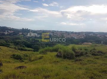 Comercial · 3365m² · Imóvel Comercial para venda em Monte Alegre de 3365.00m²