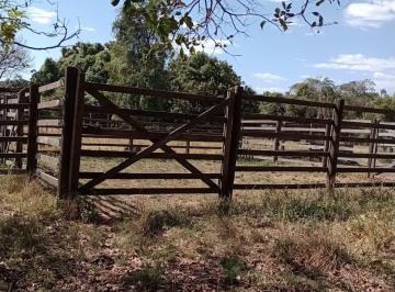 Foto 01 · FAZENDA À VENDA EM UBERABA