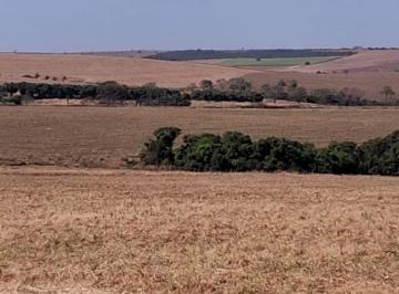 Rural de 4 quartos, · Fazenda de Alta Produtividade à Venda – 1.635 Hectares | Região Estratégica e Forte Aptidão Agrícola