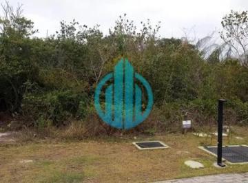 202610060846207174.jpg · Terreno para Venda em Mata De São João, Mata De São João