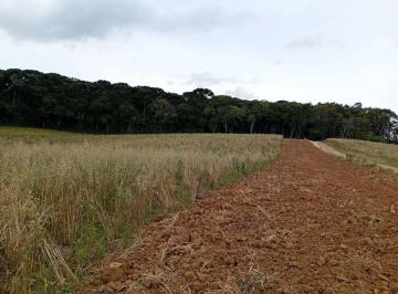 000198ff75c8eb502a389dec9ad53.jpeg · Área à venda em Fazenda Rio Grande, 30.000m²