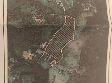 Rural , Santa Isabel · Sítio com 56.064m²
