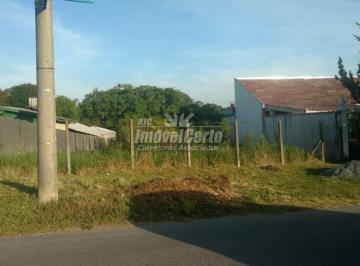 Terreno · 831m² · Terreno de 831 m² no Butiatuvinha — espaço e natur