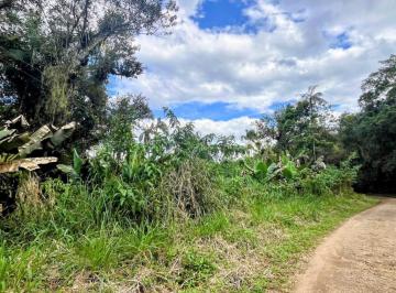 Terreno · 10000m² · TERRENO À VENDA – CAPITUVA | MORRETES/PR